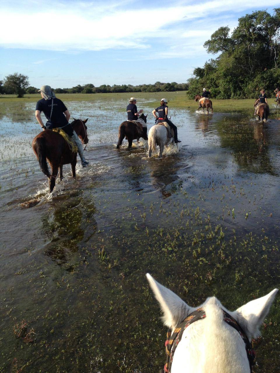 Cavalgada no Pantanal atrai turistas que pagam R$ 10 mil pela experiência